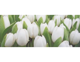 Декор Yalta Tulip Mini 25x50 код:113334 за брой снимка